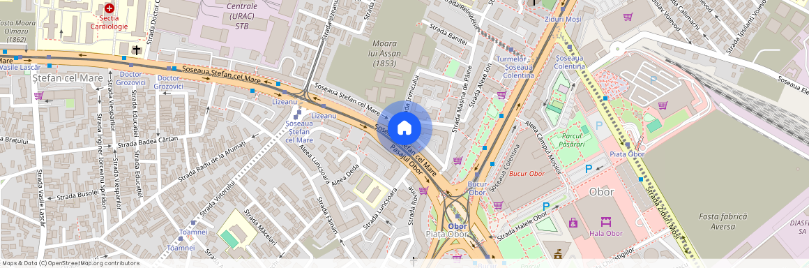 Stefan cel Mare, Bucuresti