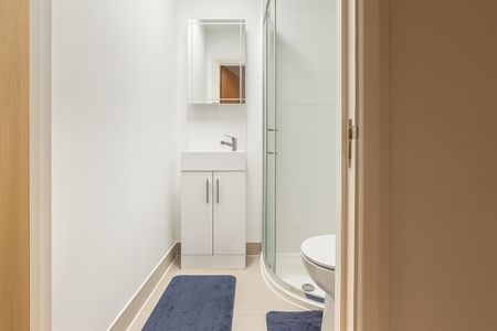 Studio Flat, Coldharbour Lane, SW9 - Photo 5