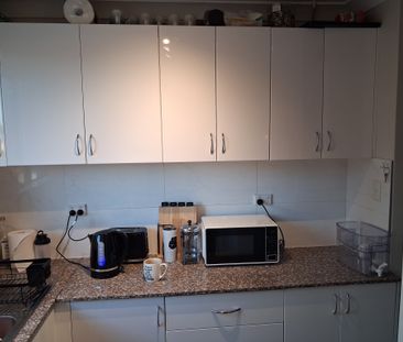 Mount Druitt - Photo 4