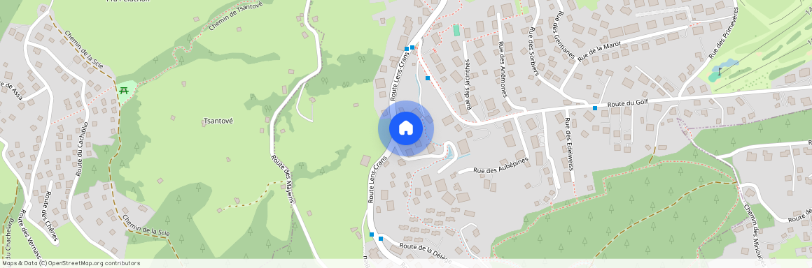 Route de Lens Crans 81, Crans-Montana