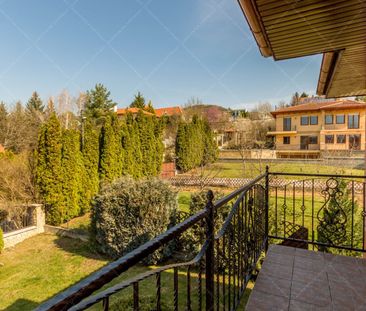 Semidetached for rent long term #102059 - Fotó 4