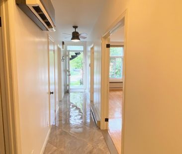 266 Rue Willibrord - Photo 3