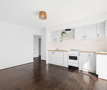 112B Macarthur Avenue, O'Connor ACT 2602 - House For Rent | Domain - Photo 5