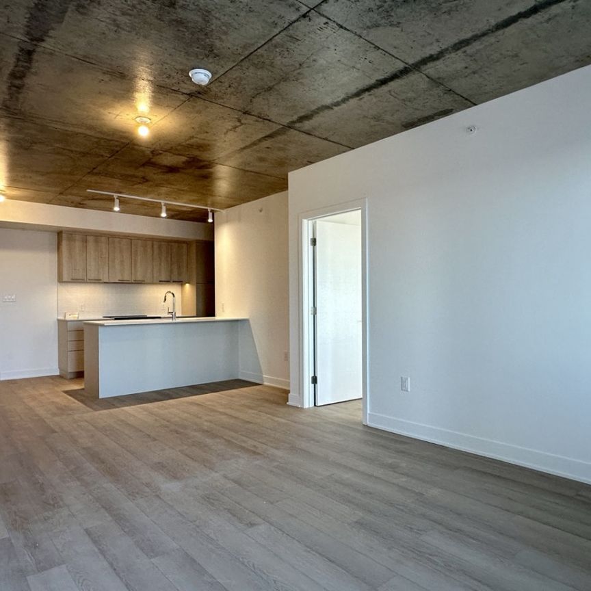 30 Avenue Joseph Lafléche, #502 - Photo 1