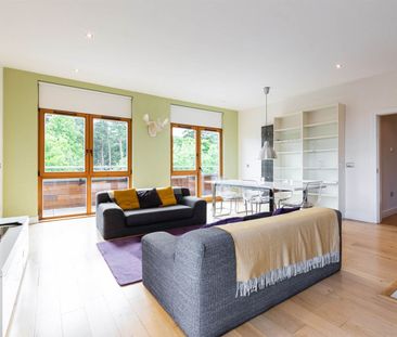Apartment 65, The Cedar, Parkview, Stepaside, Dublin 18 - Photo 3