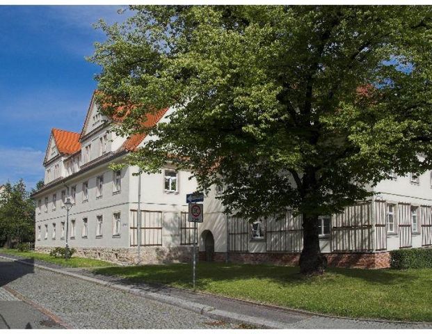 Altbauwohnung in der Gartenstadt - Foto 1