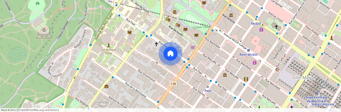 3432 Rue Peel, Montréal (Ville-Marie), H3A3K8