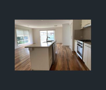 Spacious, Light-Filled and Perfectly Positioned! APPLICATIONS NOW OPEN - Photo 3