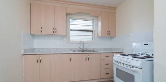 Newly renovated - Danforth Village/Oakridge. - Photo 2