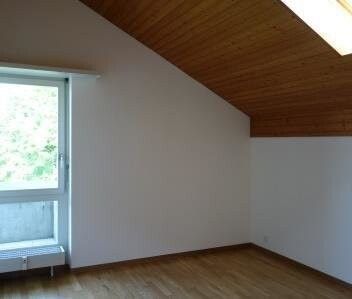Dachwohnung sucht Single! - Photo 1