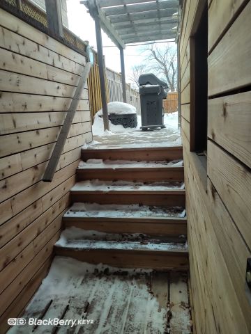 For Lease - 282 Beta Street Unit# BSMT, Toronto, Ontario - Photo 2