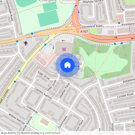 Juniper Drive, Newcastle Upon Tyne