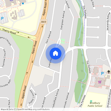 35 Evergreen Ave, Bradbury NSW 2560