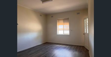 Give me a home.. - Photo 5