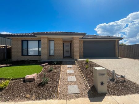 16 Dunoon Avenue, Clifton Springs - Photo 3