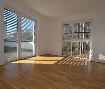 Ries – 53m² – 2 Zimmer Wohnung – Dachterrasse -inkl. TG Platz - Foto 1