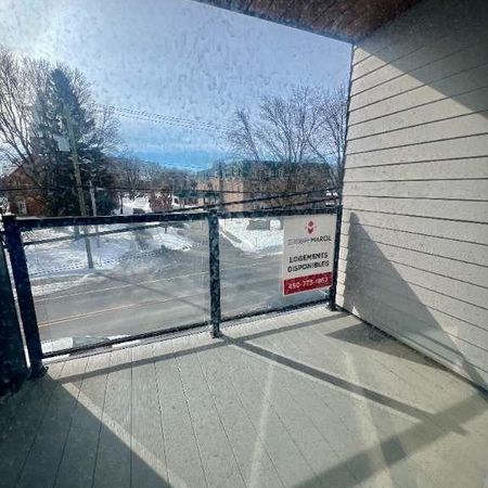 Cession de bail – Très grand 4 ½ disponible maintenant. - Photo 4