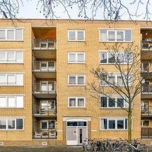 Vrolikstraat, 1091 VG Amsterdam, Nederland - Photo 2