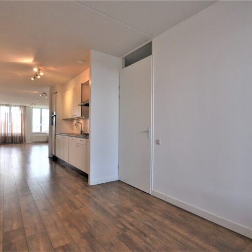 Paulus Potterstraat - Foto 1