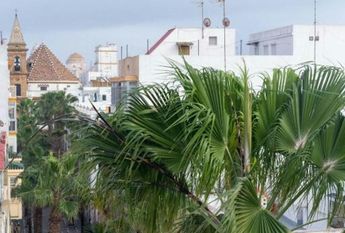 Ático de alquiler en C. Virgen de la Palma, La Caleta - La Viña