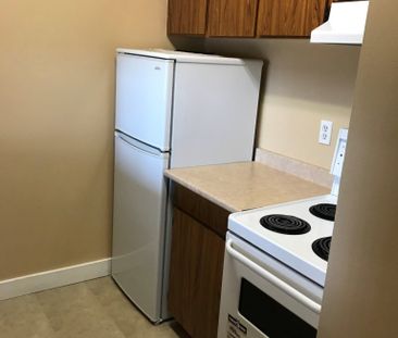 Alpine Lodge – 2 Bedroom - Photo 3