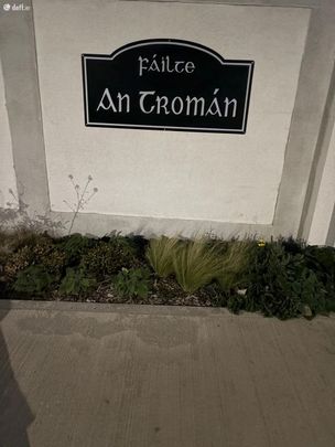 4 An Tromán, Wexford, Castlebridge, Co. Wexford - Photo 1