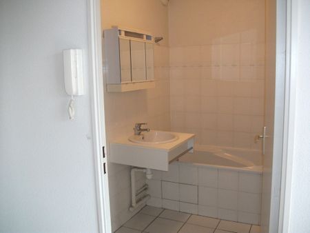 Appartement - 2 pièces - Jardin Lecoq/Facultés - Photo 5