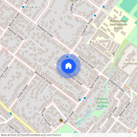 22 Kinsman Street, Kaikorai, Dunedin City