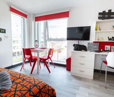 Premium Studio - Photo 6