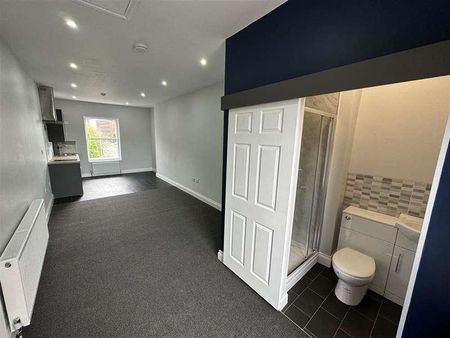 Argyle Street, Birkenhead, CH41 - Photo 5