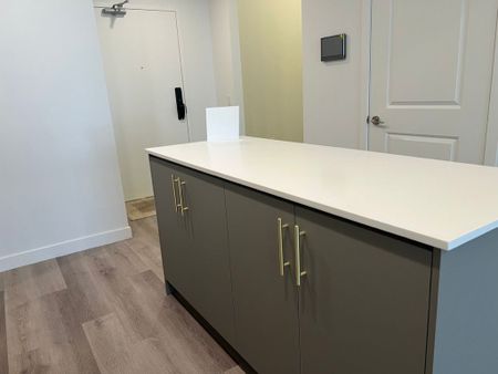 For Lease - 461 Green Road Unit# 101, Hamilton, Ontario - Photo 2