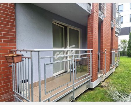 Szczecin - Zdjęcie 4