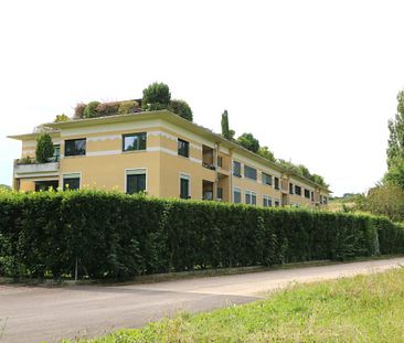 Appartement de 6 pièces avec balcons et rooftop à Chêne-Bourg - Photo 1