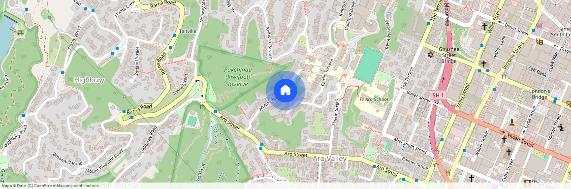 36A Adams Terrace, Aro Valley, Wellington City