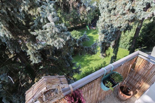 Apartment for rent long term #0535 - Fotó 1