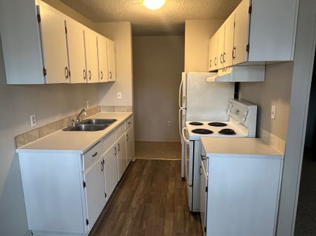 Spacious 2 Bedroom 1 Bath Apartment in the heart of Red Deer!! - Photo 3
