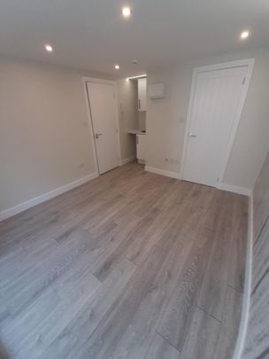 Studio Flat, Minster Rd, NW2 - Photo 1