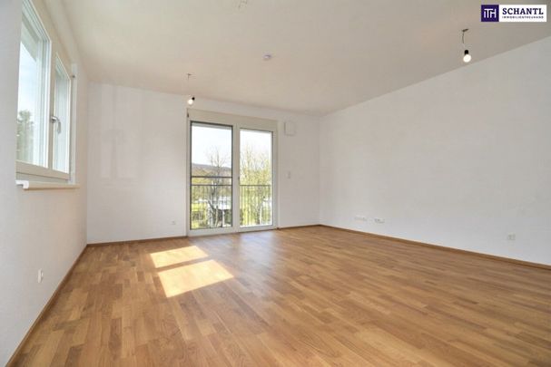 Hier wird Ankommen zum Lieblingsmoment – Sonnenbalkon, 2 Schlafzimmer, große Wohnküche - Foto 1