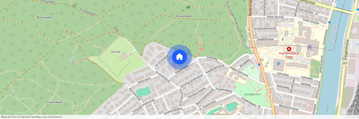 Hasenweid 14, 4600 Olten