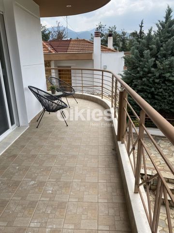 Μονοκατοικία για ενοικίαση Παλιός Οικισμός Πανοράματος (Πανόραμα) - Φωτογραφία 5