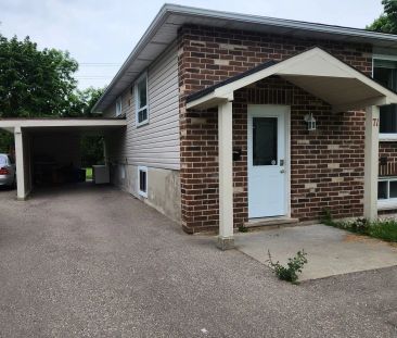 Detached Home For Lease | X8490114 - Photo 4