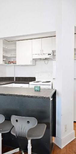 GHETTO MCGILL- 4 ½ RÉNOVÉ & MEUBLÉ – 2 CHAMBRES FERMÉES - Photo 1