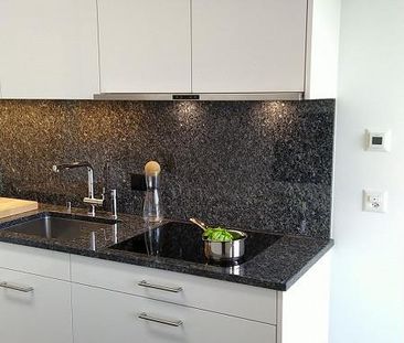 lichtdurchfluted, sanft saniert, modernisiert, ausgehender Jugendstil - Foto 2