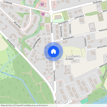 ul. Tarnowska, Lusówko, Tarnowo Podgórne, poznański, wielkopolskie