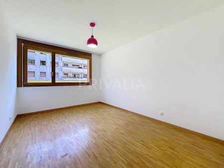 Beautiful garden-level apartment near International Organizations - Photo 2