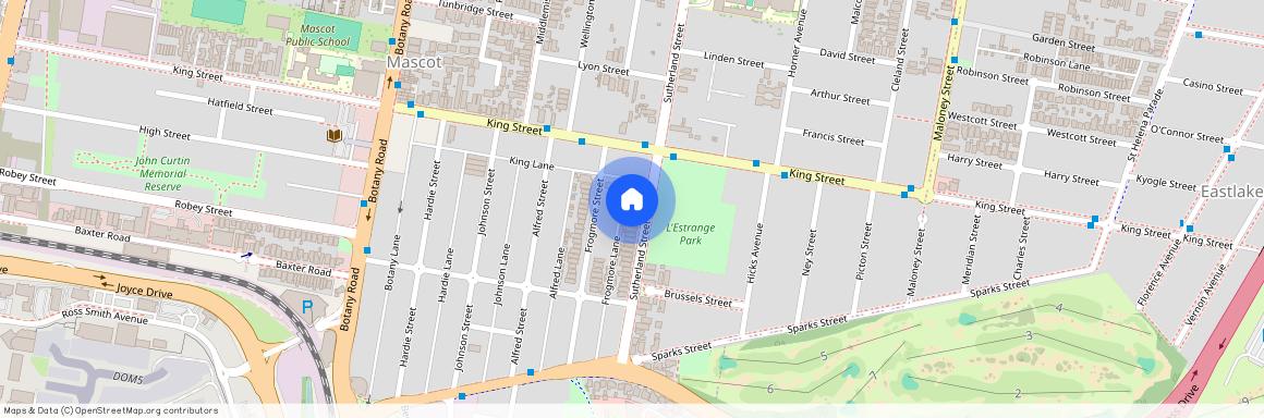 134 Sutherland Street, Mascot, Sydney, New South Wales 2020