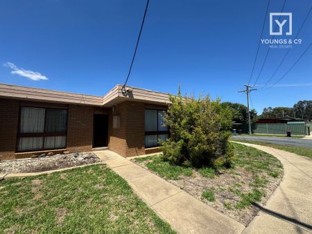 Unit 3, 1 Erskine St, Shepparton - Photo 3