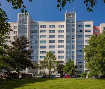 Herzberger Str. 16, 01239 Dresden OT Prohlis-Nord - Photo 2