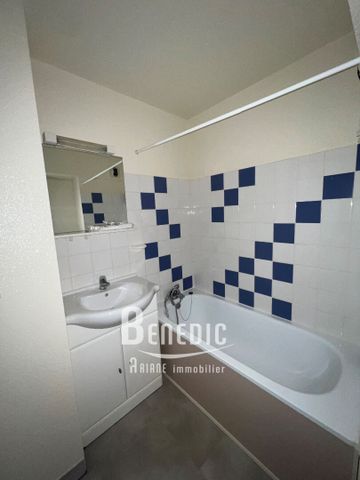 Location Appartement 1 pièce 18m² - Photo 3