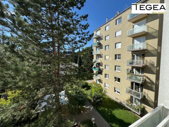 Modernes Design-Studio mit Loggia und Balkon in ruhiger Grünoase - teilweise möbliert - Photo 1